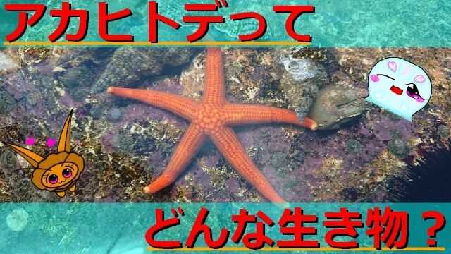 Thumbnail of post image 087